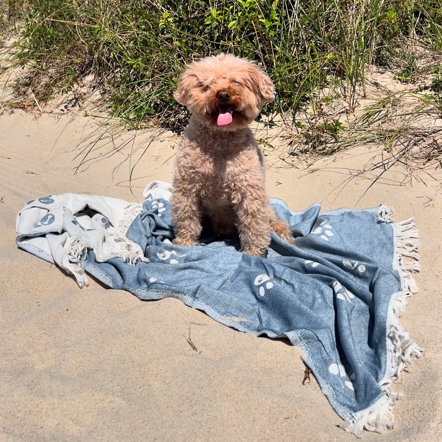 Great Dog towel